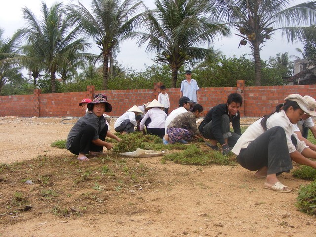 Đồng