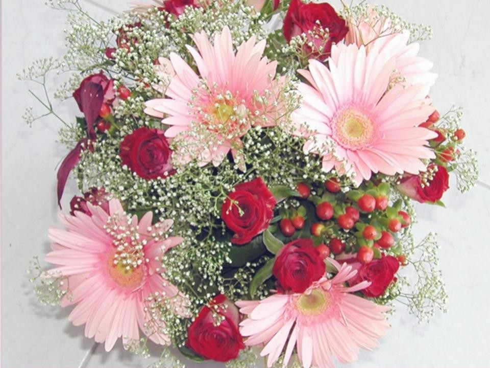 Huynh Trưởng Nghĩa Sinh chúc mừng Năm Mới DL 2015 đến quý anh chị Nghĩa Sinh và độc giả Liên Nghĩa khắp nơi !