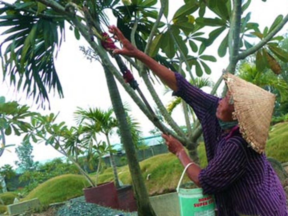 Địa danh Bà Rịa: Nơi một số Nghĩa Sinh Phước Tuy sinh sống và công tác.