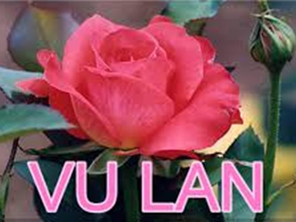 Một bông hồng hiếu kính và tri ân công Cha nghĩa Mẹ.