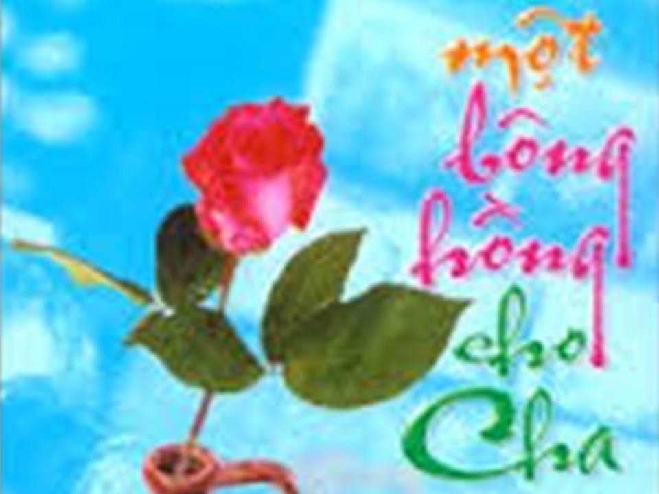 Một bông hồng hiếu kính và tri ân công Cha nghĩa Mẹ.