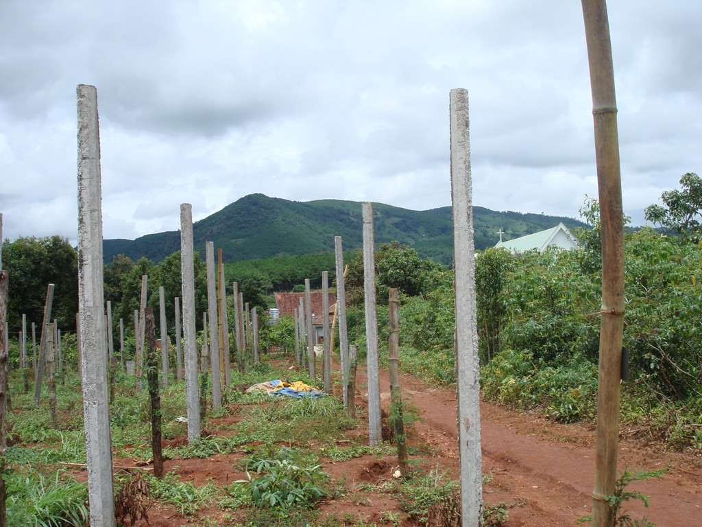 Nghệ Thuật Lãnh Đạo & Kỹ Năng Điều Hành - 9/2012