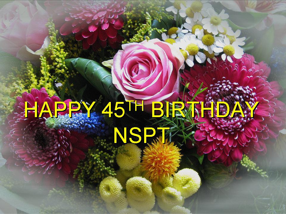 Chúc mừng Sinh nhật 45 NSPT !