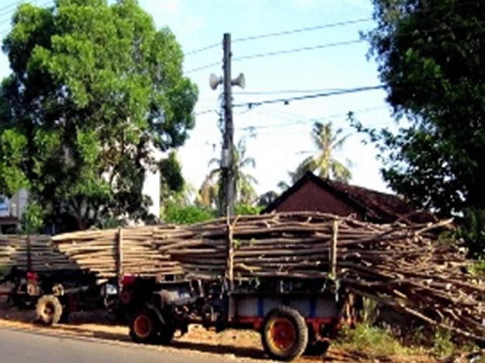 Viện Dưỡng Lão Quảng Thành & Viện Dưỡng Lão Vinh Châu tại Bà Rịa Vũng Tàu, Việt Nam