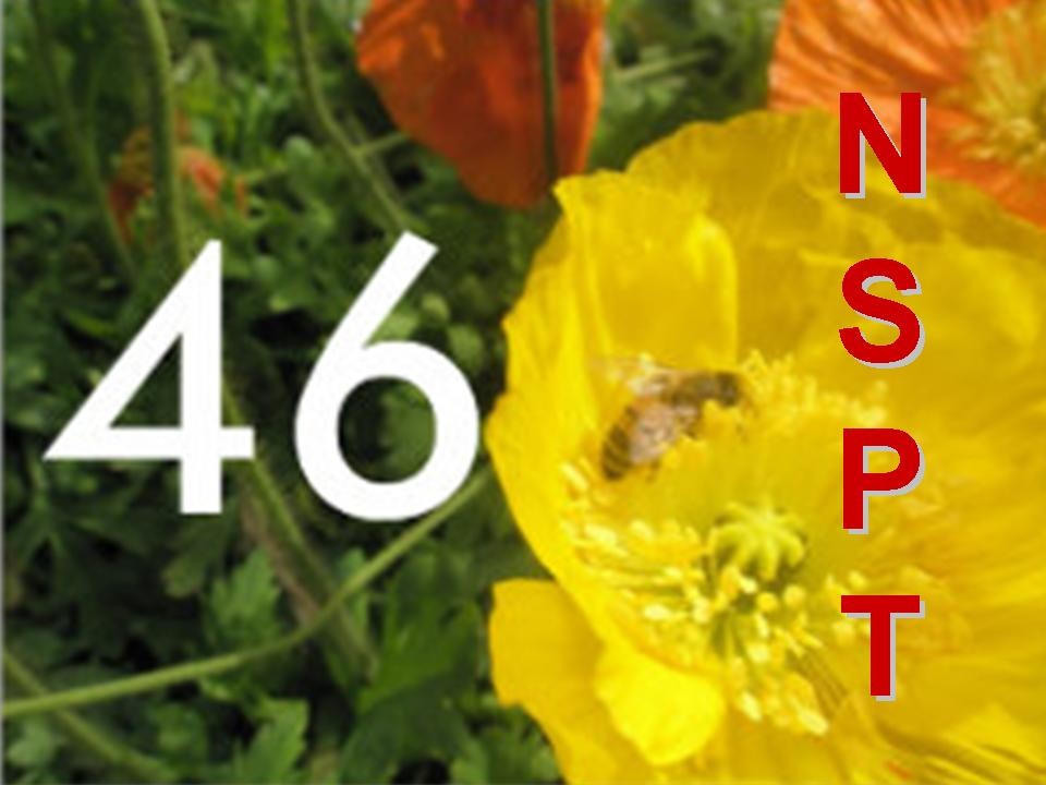 Chúc mừng Sinh nhật NSPT năm thứ 46 * Huynh Trưởng Nghĩa Sinh
