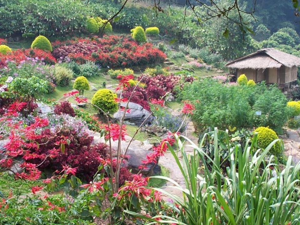Chúc mừng Lễ Tạ Ơn Nghĩa Sinh năm thứ 29 * 1983-2012