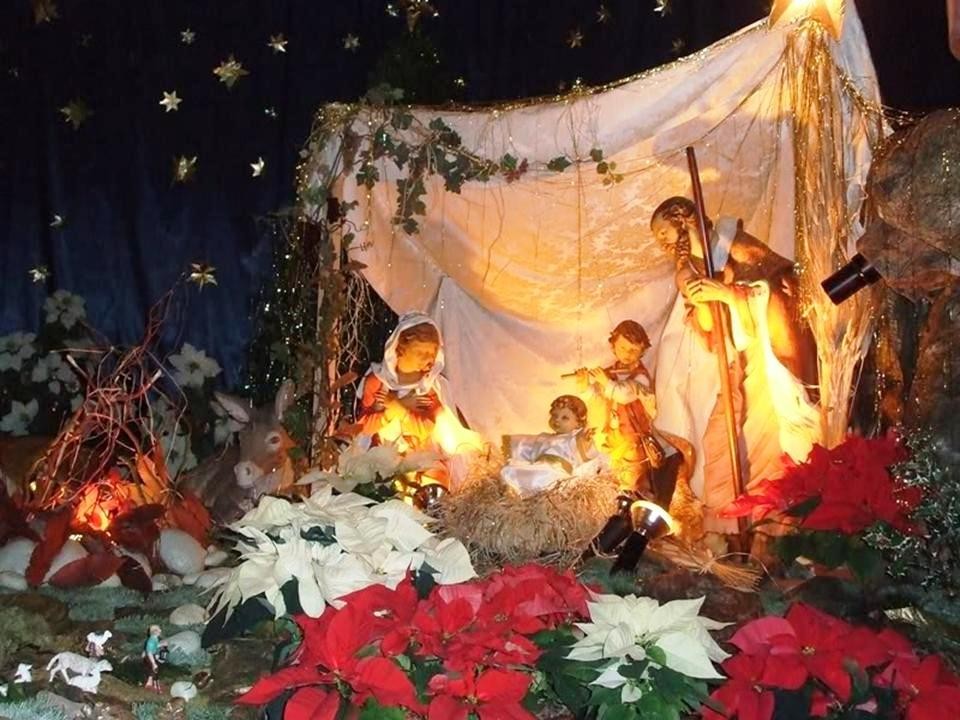 Chúc mừng Giáng Sinh và Năm Mới 2014 đến quý anh chị Nghĩa Sinh khắp nơi - Huynh Trưởng Nghĩa Sinh.